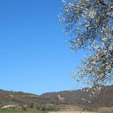 Fattoria Di Rigone-3