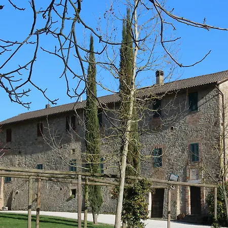 Fattoria Di Rigone-2